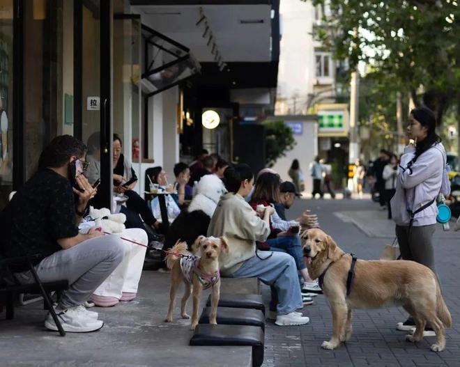 轻人抛弃了双11爱上了“老年严选”j9九游真人游戏第一平台这届脆皮年